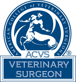 ACVS_logo